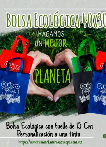 Bolsa Ecologica 40x30